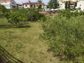 Apartman Avsec, Krk